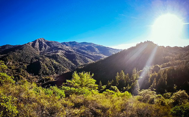 Вид из комнаты на горы День 2. Результат – 600 грамм