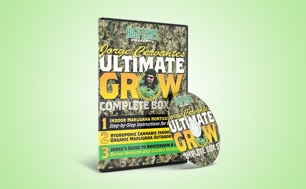 Издание «Высший пилотаж выращивания конопли» на DVD диске