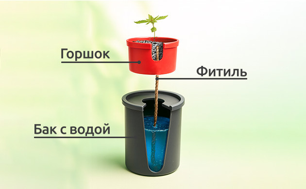 Фитильная гидропоника