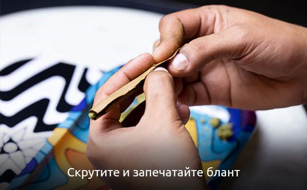 Скрутите и запечатайте Свишер Блант