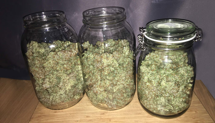 Пролечивание шишек Jack 47 Auto