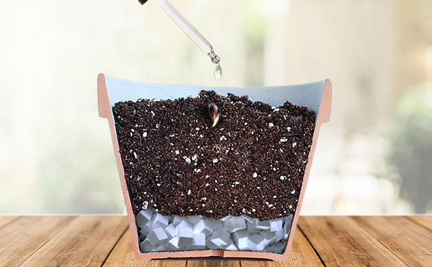 Увлажнение грунта