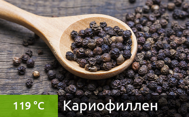 Рекомендуемая температура нагрева для кариофиллена в вейпе (119 °С)