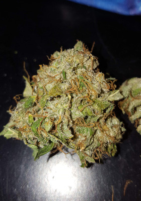 Шишка Auto White Widow после сушки