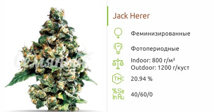 Jack Herer от Green House Seeds