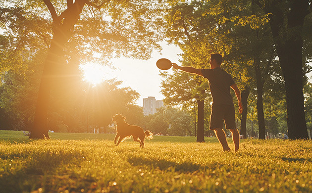 КБХ и его лечебные эффекты