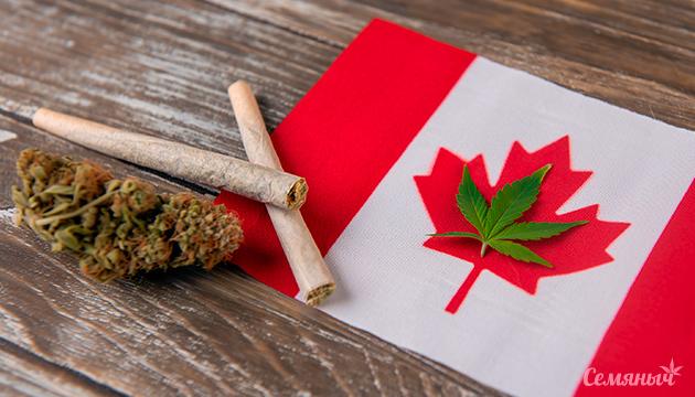 Конопля — двигатель экономики Канадцы считают конопляную отрасль важной для экономики страны