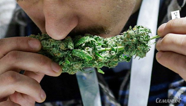 Ароматный каннабис