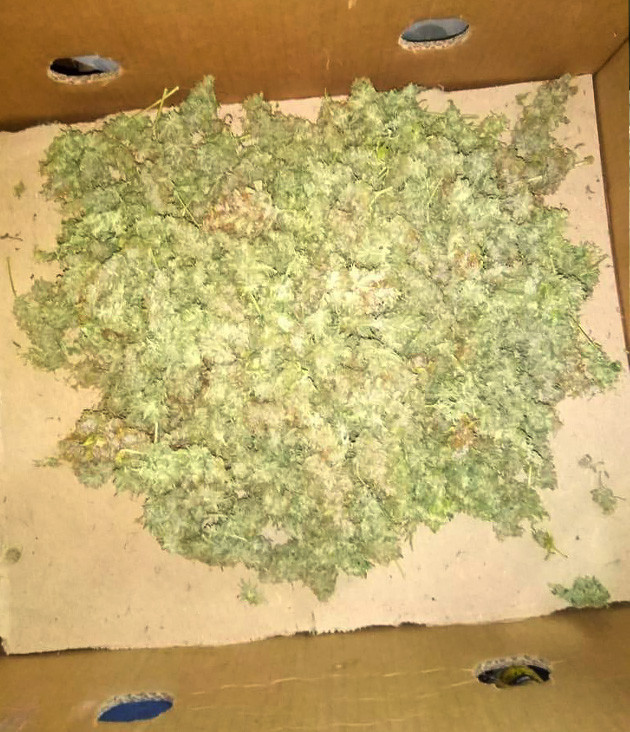 Собранный урожай