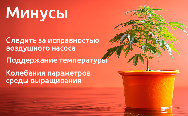 DWC: недостатки и как их избежать