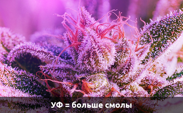 Увеличение смолы от ультрафиолетовых лучей