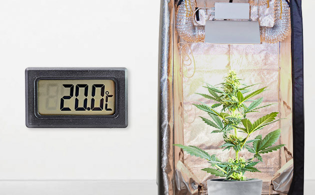 Температура воздуха в помещении с гроубоксом