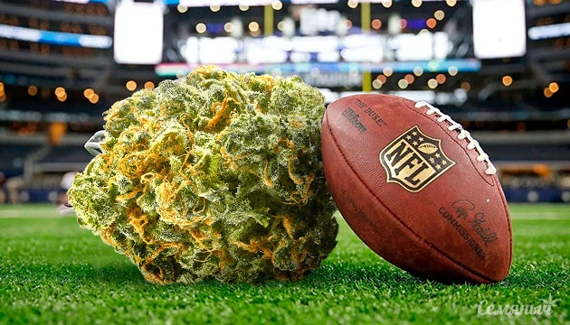 Исследования КБД лигой американского футбола НФЛ выделяет гранты на исследования КБД