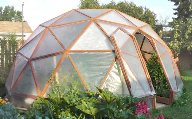 Теплица в виде купола