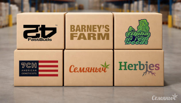 Пополнение склада на Семяныче!