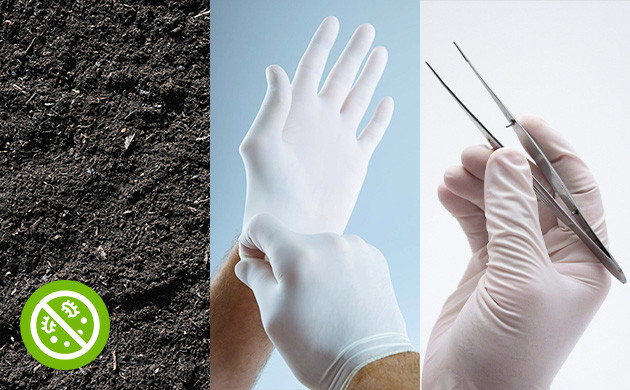 Стерильная работа с семенами