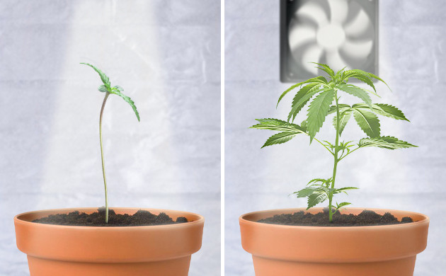 Обдув компьютерным кулером