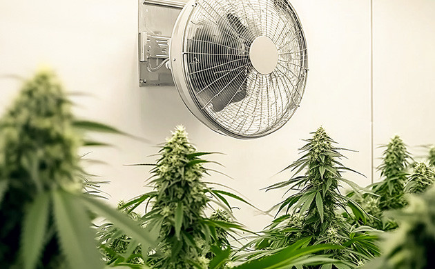 Правильная вентиляция гроубокса Вентиляция для гроубокса