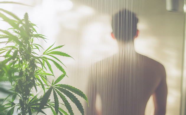 Душ против запаха конопли Как избавиться от запаха?