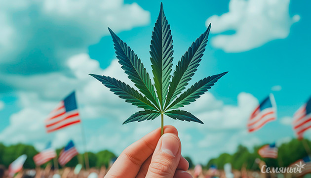 Америка за легалайз В США высказались по вопросу легалайз