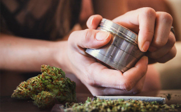 Измельчение шишек гриндером