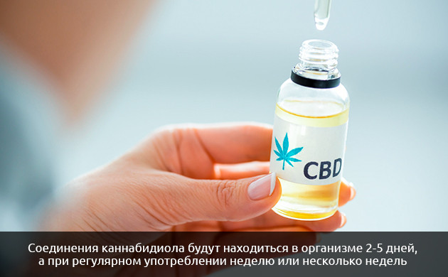Как долго КБД остается в нашем организме Как долго КБД остается в организме