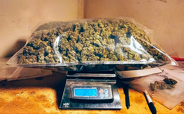 Начало работы на ферме День первый. Результат – 530 грамм