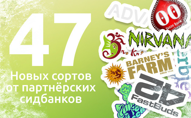 Новые сорта от партнеров в 2024