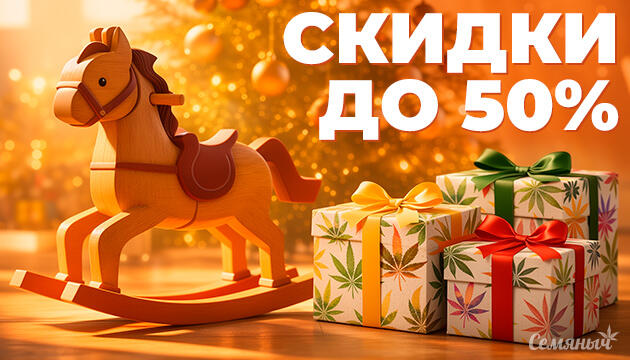 Новогодняя распродажа: скидки до 50% на Семяныче Новогодняя акция на Семяныче