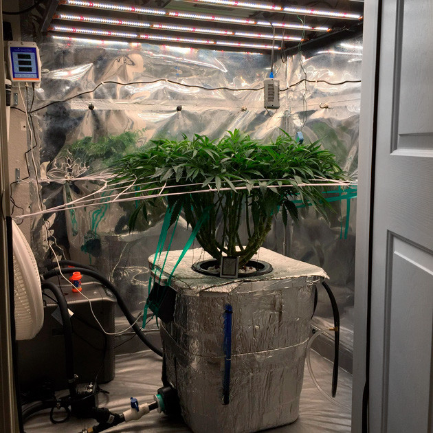 Установка сетки ScrOG 