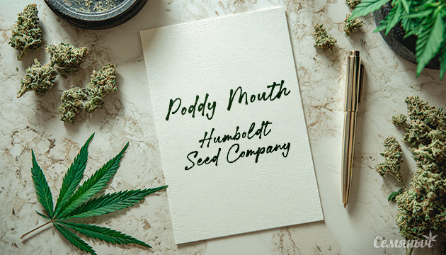 Выращивание сорта марихуаны Poddy Mouth от Humboldt Seed Company Гроурепорт сорта Poddy Mouth от Humboldt Seed Company