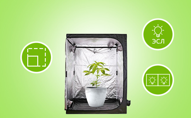 Обустройство гроубокса для вегетации