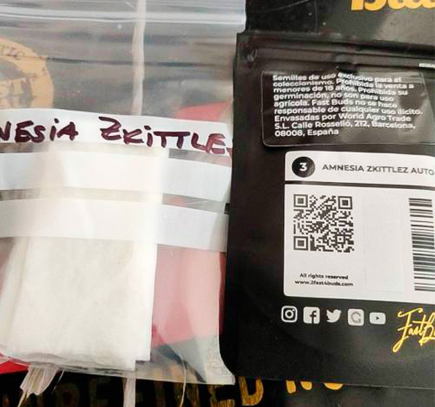 Как я прорастил семена Amnesia Zkittlez Auto