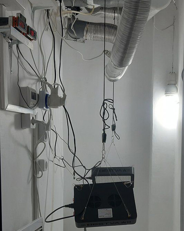 Введение в гроурепорт Critical Orange Punch Auto