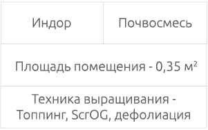 Выращивание в индоре с применением техник Таблица: условия выращивания и использованные техники
