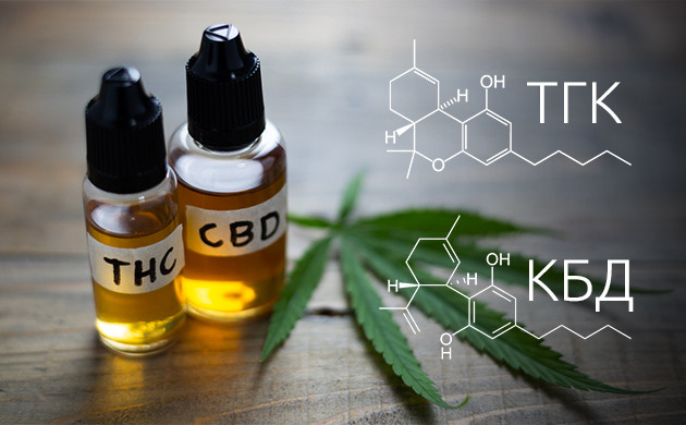 ТГК и КБД: основные каннабиноиды