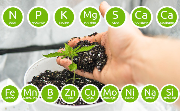 Макро- и микроэлементы для конопли