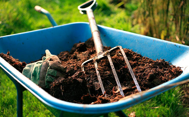 Прогресс в сфере экологичности канна-гровинга Развитие экологичности выращивания конопли