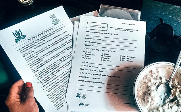 Участие в предстоящем каннабис-фестивале День третий. Результат – 711 грамм