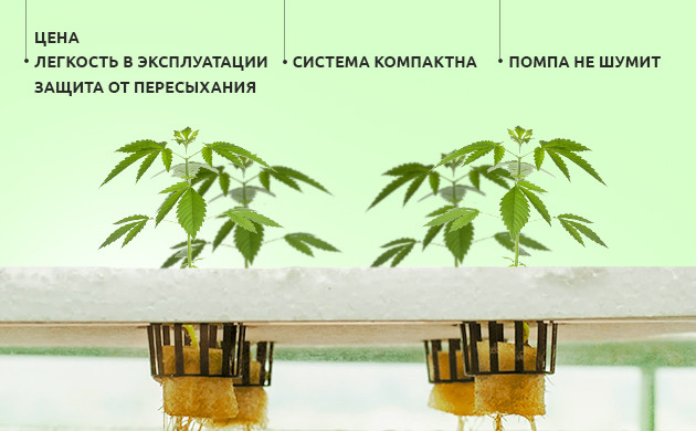 Преимущества самодельной гидропонной установки