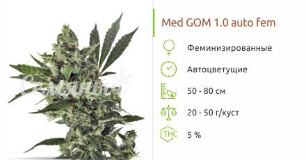 Med GOM 1.0 auto fem (Grass-O-Matic)