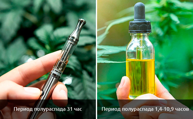 Продолжительность полураспада КБД Продолжительность полураспада КБД