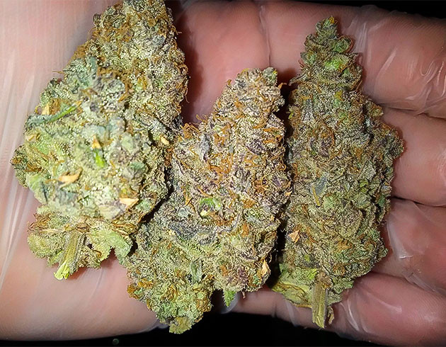 Харвест и общие впечатления