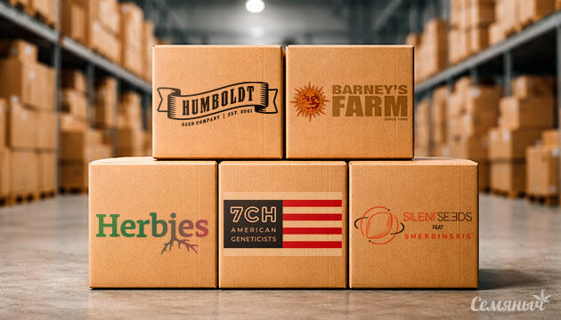 Пополнение склада на Семяныче