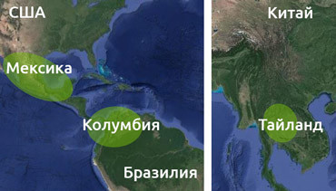 Сатива распространена в регионах с тропическим и экваториальным климатом