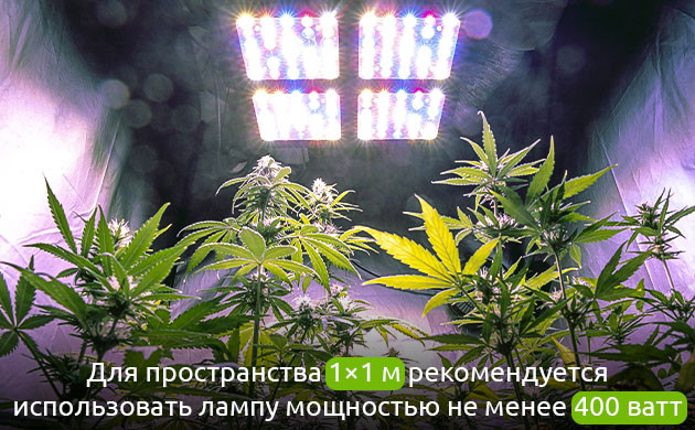 Освещение для максимального урожая