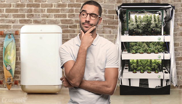 Выбор гроубокса