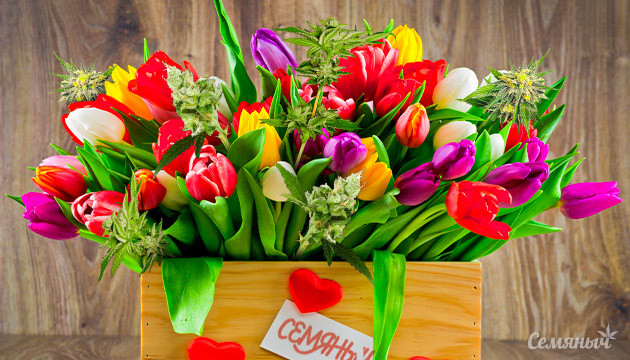 Букет с каннабисом