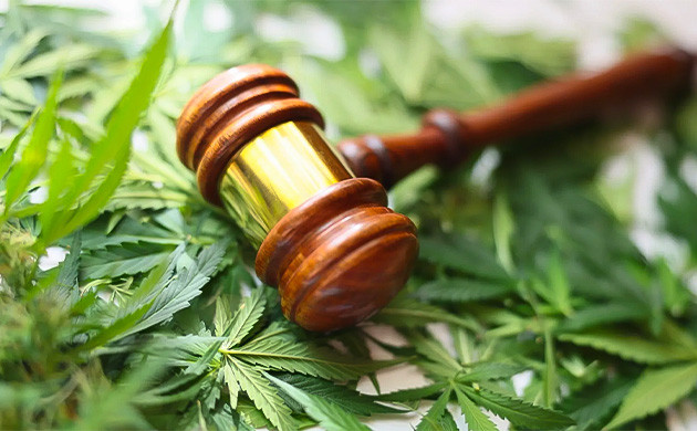 Французское законодательство об употреблении марихуаны Закон Франции о марихуане