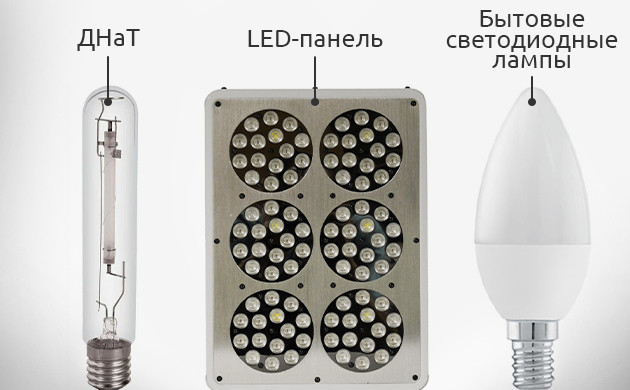 типы ламп для гровинга